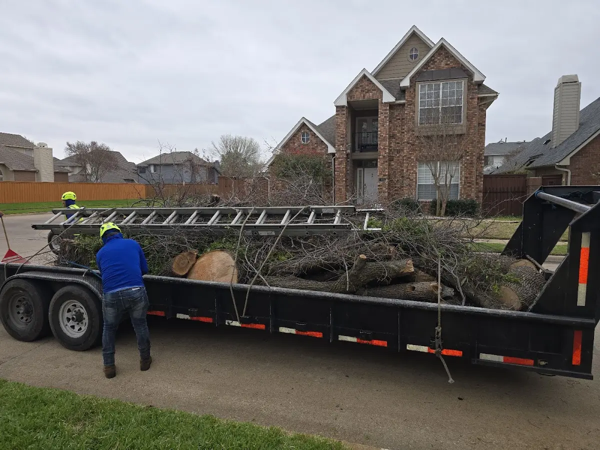 Expert Lot Clearing with proper safety equipment in Redgranite